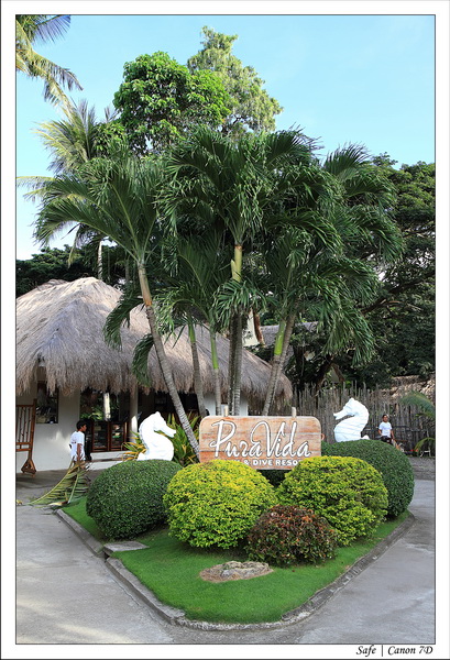 2012 - 07 - Dauin - 29